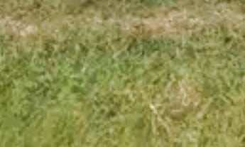 Imagem: Terreno à venda no bairro Botafogo - Cabo