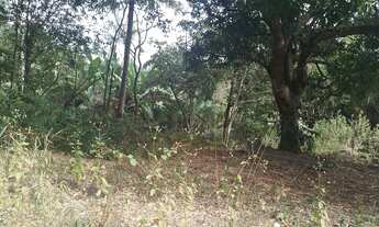 Imagem 5: Terreno à venda no bairro Parque Nova Friburgo (Sambaetiba) - Itaboraí/RJ