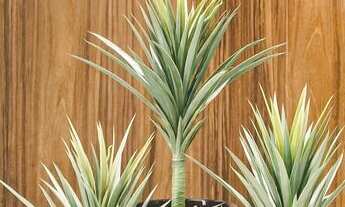 Imagem 6: Apartamento à venda no Centro em Florianópolis SC com 3 quartos sendo 1 suite com 2 vagas