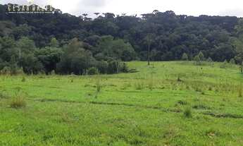 Imagem 6: Sítio à venda no bairro Centro - Tamarana/PR