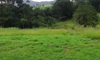 Imagem 5: Sítio à venda no bairro Centro - Tamarana/PR