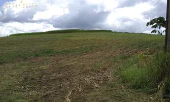Imagem 2: Chácara Chácara em Fazenda Comanche, Tamarana/PR