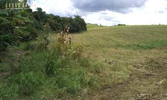 Imagem 3: Chácara Chácara em Fazenda Comanche, Tamarana/PR