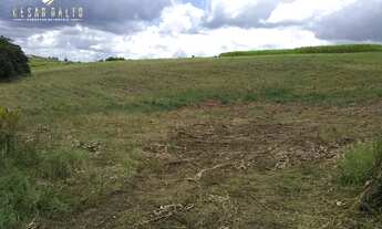 Imagem 6: Chácara Chácara em Fazenda Comanche, Tamarana/PR