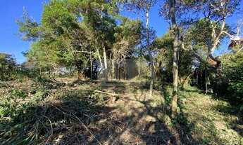 Imagem 3: Terreno com matrícula na Avenida Central do Rosa