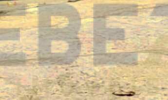 Imagem 5: Casa à venda no bairro Santo Antônio - Carazinho/RS