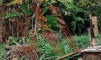 Imagem 6: Lote de 398m² no setor Parque Flamboyant, em Aparecida!