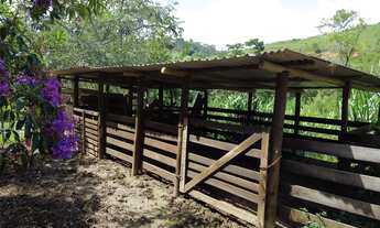 Imagem 7: SÍTIO LIDÍSSIMO EM SÃO JOSÉ DOS CAMPOS/SP