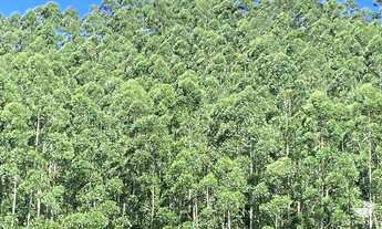 Imagem 2: FAZENDA EM PARAÍBUNA/SP