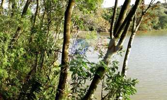 Imagem: Terreno à venda no bairro Vila Torres