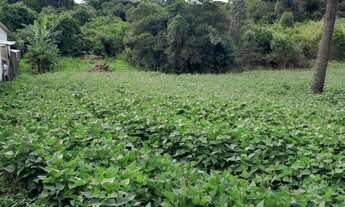 Imagem: Terreno Rural pronto para contruir
