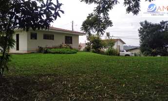 Imagem 2: ÁREA COMERCIAL E RESIDENCIAL COM RESIDÊNCIA NA RUA PRINCIPAL MATO GROSSO