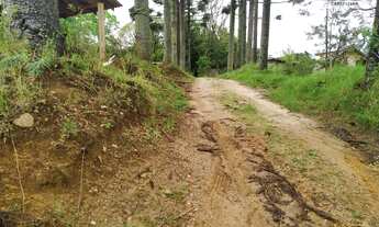 Imagem: Chacrinha em condomínio familiar com 2.300,00m²