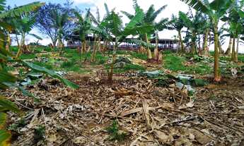 Imagem 4: Sítio à venda no bairro Rio Acima - Guaratinguetá/SP