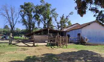 Imagem 5: Sítio à venda no bairro Chácaras Piagui - Guaratinguetá/SP