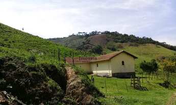 Imagem 4: Sítio à venda no bairro Catucaba - São Luiz do Paraitinga/SP