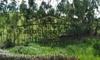 Imagem: Sítio Sítio, 3 dormitórios, 1 suítes