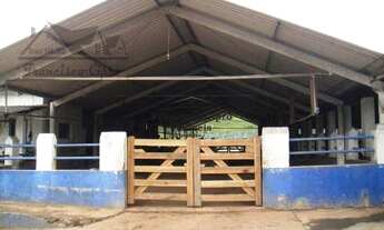 Imagem 7: Fazenda-para-Venda-em-Vila-Sao-Miguel-Lorena-SP, 2 dormitórios, 1 suítes, 2 banheiro