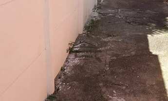 Imagem 6: Casa à venda no bairro Pedregulho - Guaratinguetá/SP