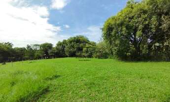 Imagem 3: Sítio à venda no bairro Quiririm - Taubaté/SP