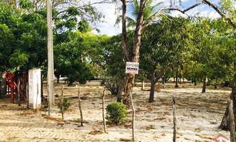 Imagem 3: Terreno à venda no bairro Centro - Paracuru/CE