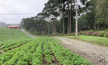 Imagem: Chácara em Campo Alegre - SC