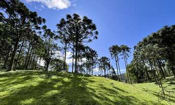Imagem: Chácara em Campo Alegre