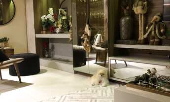 Imagem 4: Apartamento Alto Padrão - 700 metros da praia do Saco Grande