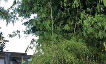 Imagem: Terreno à venda no bairro Ponta das Canas