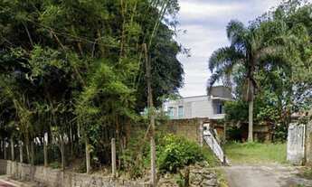 Imagem 6: Terreno à venda no bairro Ponta das Canas - Florianópolis/SC