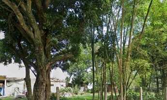 Imagem 4: Terreno à venda no bairro Ponta das Canas - Florianópolis/SC