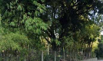 Imagem 5: Terreno à venda no bairro Ponta das Canas - Florianópolis/SC