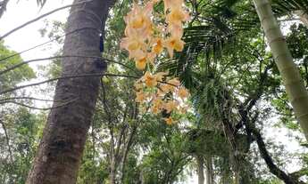 Imagem 7: Sítio com Vista Mar