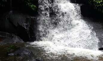 Imagem: Área com natureza exuberante!