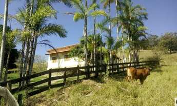 Imagem: Sítio na Rodovia dos Tamoios 9 alqueires