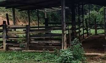 Imagem 3: Sítio em SJCampos