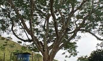 Imagem 6: Sítio em SJCampos