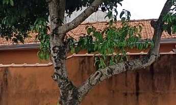 Imagem: Casa térrea boa para comércio