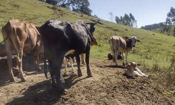 Imagem 4: Sítio escriturado em Salesópolis