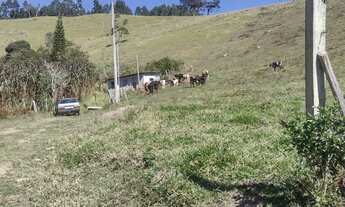 Imagem: Sítio escriturado em Salesópolis