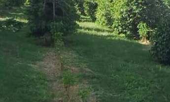 Imagem: Sítio produzindo em Campanha MG