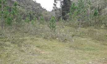 Imagem 7: Área Rural de 120 alqueires região de Cunha/Paraty