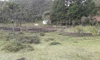 Imagem 5: Área Rural de 120 alqueires região de Cunha/Paraty