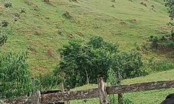 Imagem 6: Sítio em Taubaté 7,5 alqueires