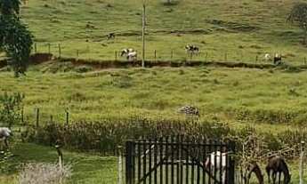 Imagem 7: Sítio em Taubaté 7,5 alqueires