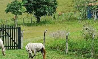Imagem 3: Sítio em Taubaté 7,5 alqueires