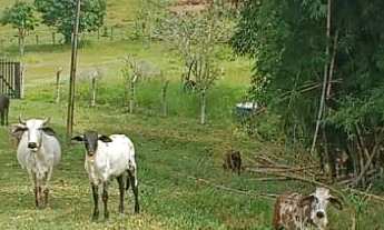 Imagem 5: Sítio em Taubaté 7,5 alqueires