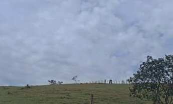 Imagem 4: Sítio em Taubaté 7,5 alqueires