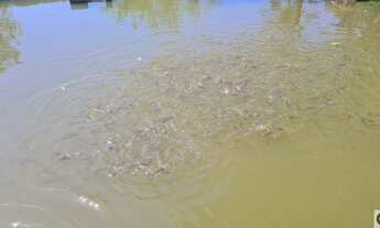 Imagem 2: Chácara com lago e piscina