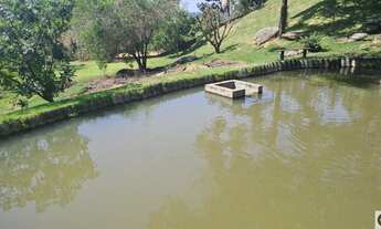 Imagem 3: Chácara com lago e piscina
